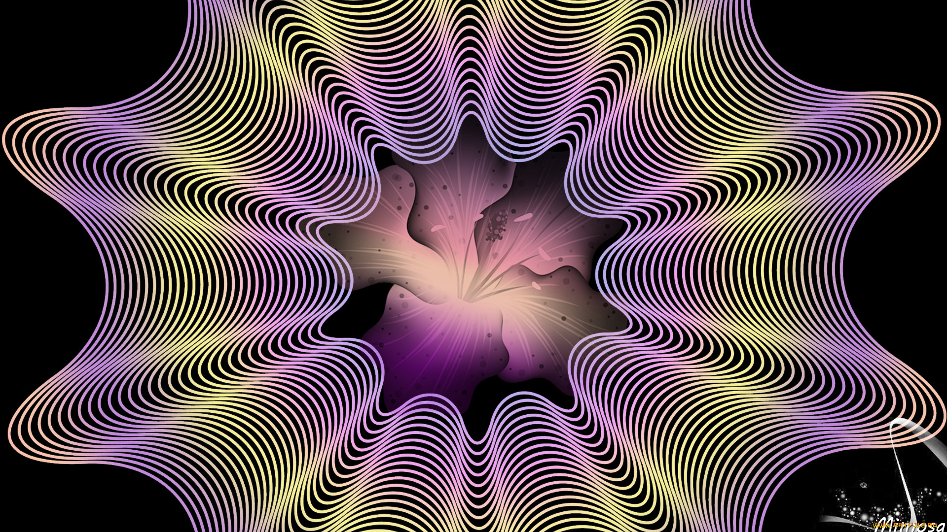  ,  , graphics, , , 